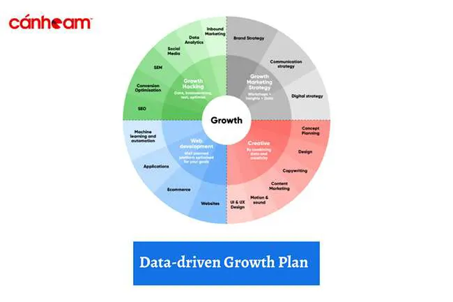 Data-driven Growth Plan