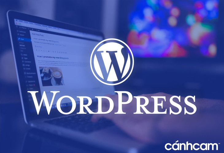 Tự thiết kế website trên nền tảng WordPress đang được sử dụng phổ biến trên thế giới