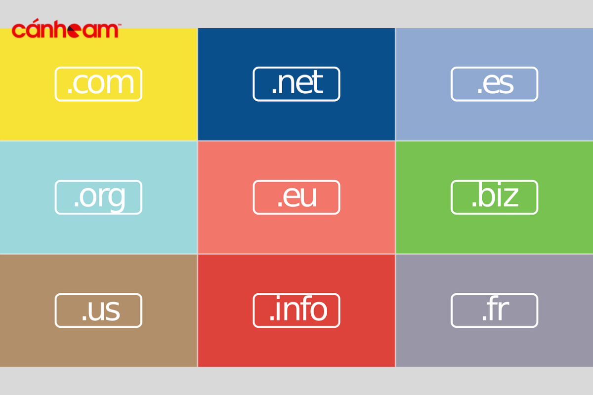 TLD (Top Level Domain)