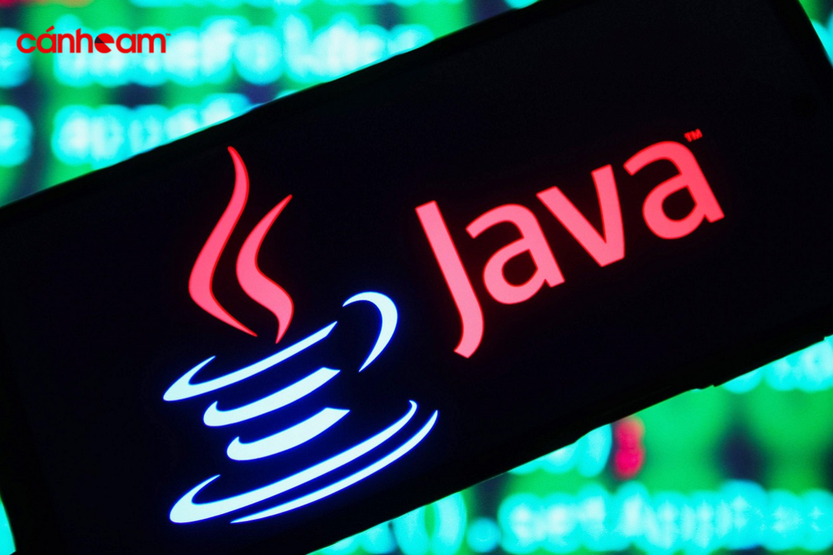 Ngôn ngữ Java được ra mắt vào năm 1995