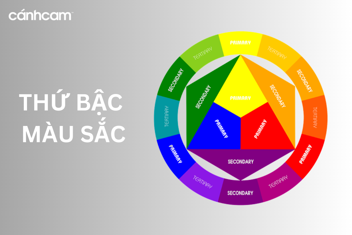 Thứ bậc của màu sắc