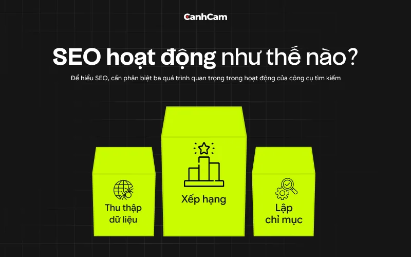 SEO hoạt động như thế nào
