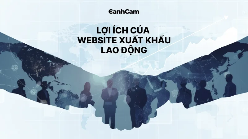 Lợi ích khi thiết kế website xuất khẩu lao động