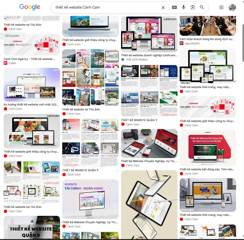 Hình ảnh được hiển thị trong kết quả tìm kiếm hình ảnh của Google