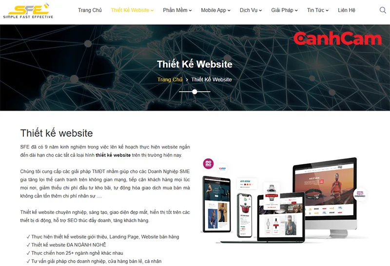 SFE dịch vụ thiết kế website tại Cần Thơ