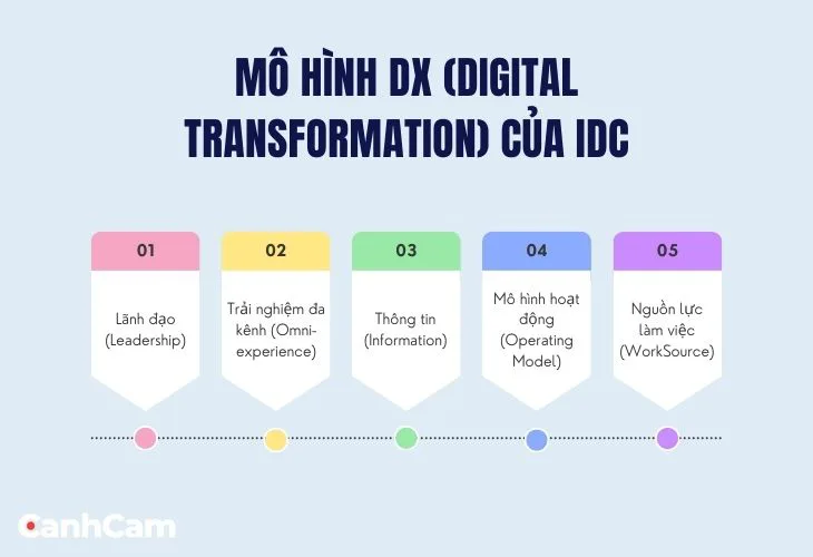 Mô hình DX Digital Transformation của IDC