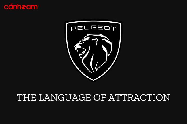 6 case study điển hình về Brand Manifesto
