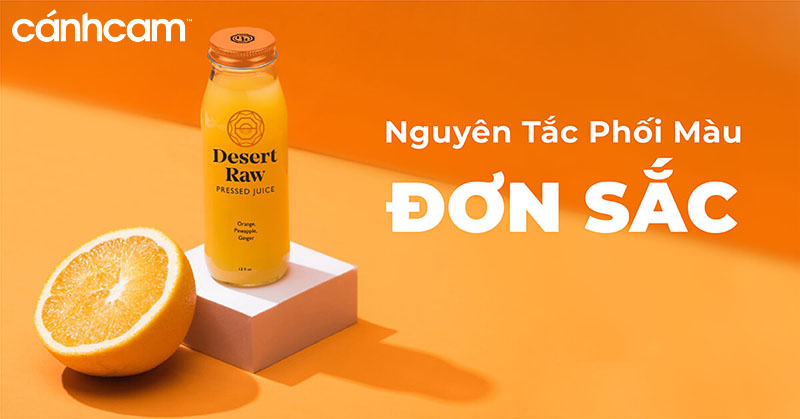 Nguyên tắc phối màu đơn sắc trong thiết kế website