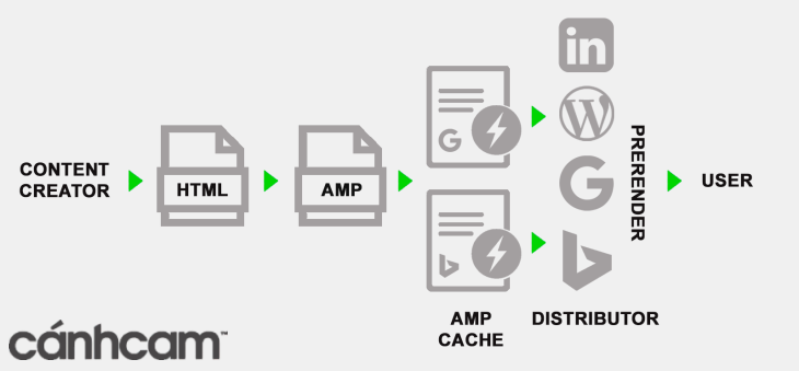 Cấu trúc của Google AMP