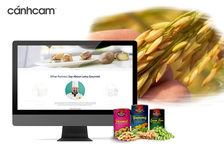 Cánh Cam cung cấp dịch vụ thiết kế web chuyên nghiệp