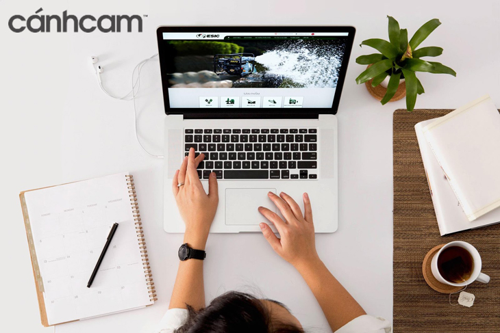 Cánh Cam có 14 năm kinh nghiệm trong ngành thiết kế web