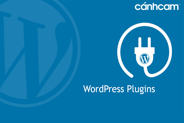 Website Wordpress có hệ thống plugin đa dạng