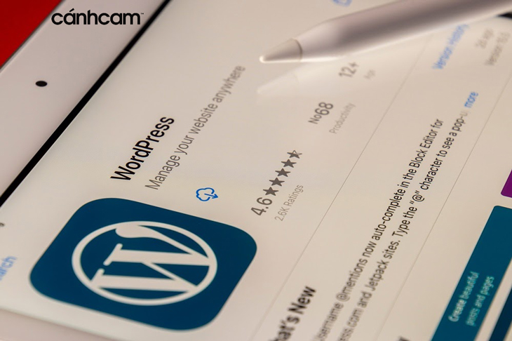 WordPress ra đời năm 2003