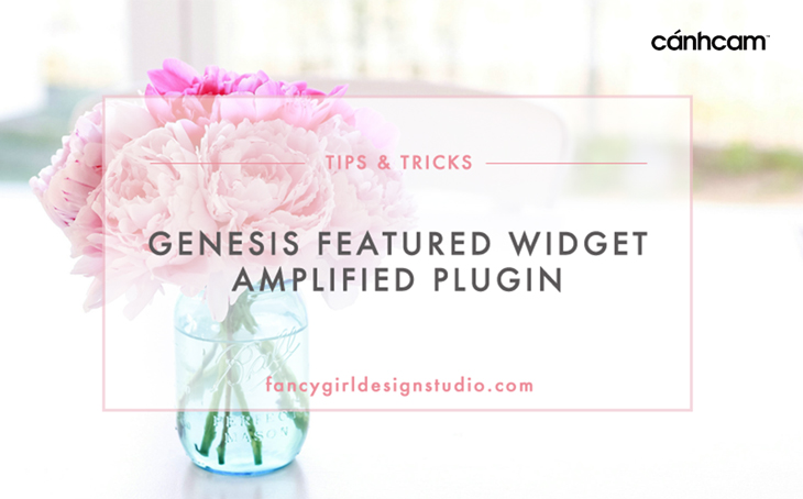 Genesis Featured Widget Amplified cho phép những tùy chọn linh hoạt nhằm hiển thị đoạn trích hoặc nội dung bài viết