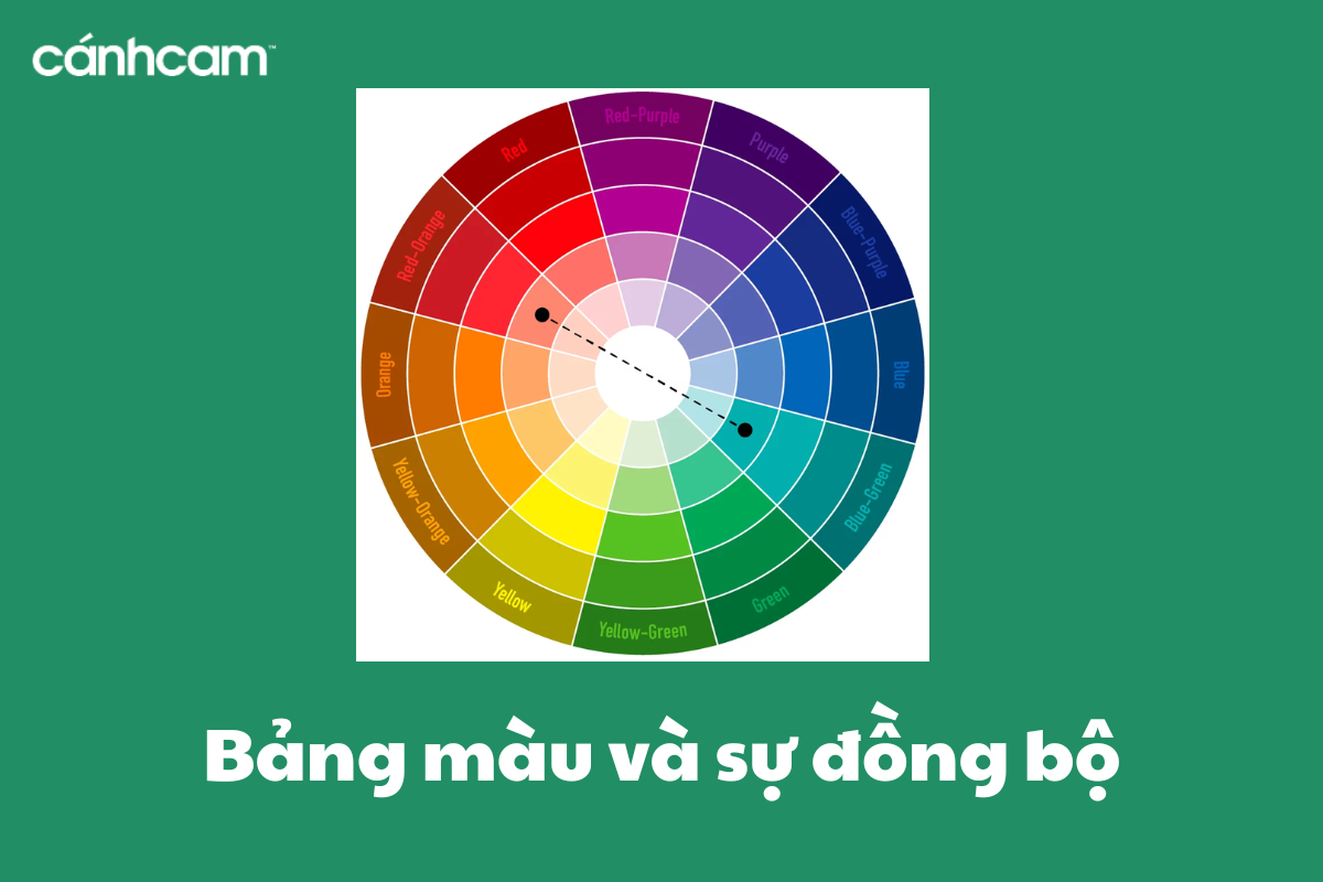 Bảng màu và sự đồng bộ trong Brand Guideline