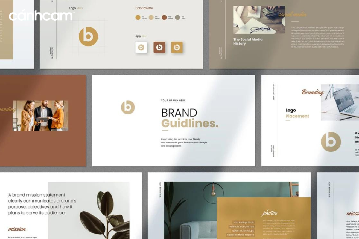 Brand Guideline là gì?