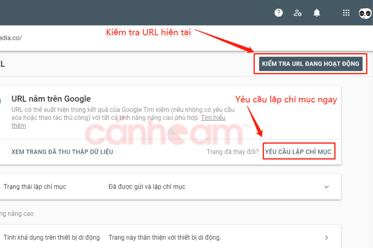 Kiểm tra URL trong Google Search Console 