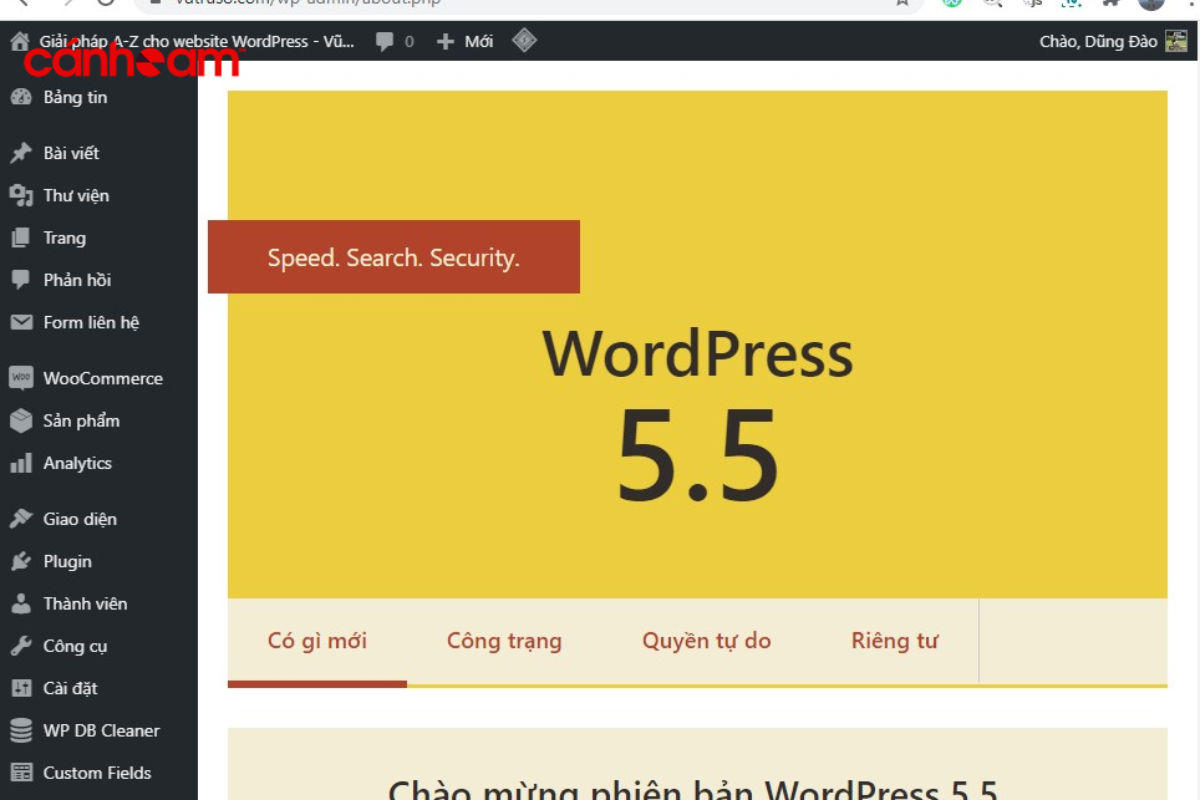 WordPress 5.5 phát hành ngày 11/08/2020