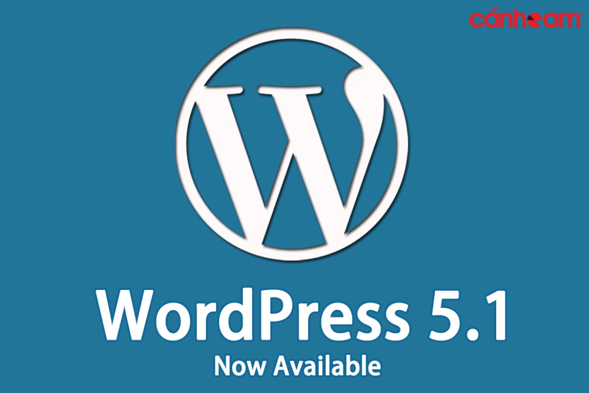 WordPress 5.1