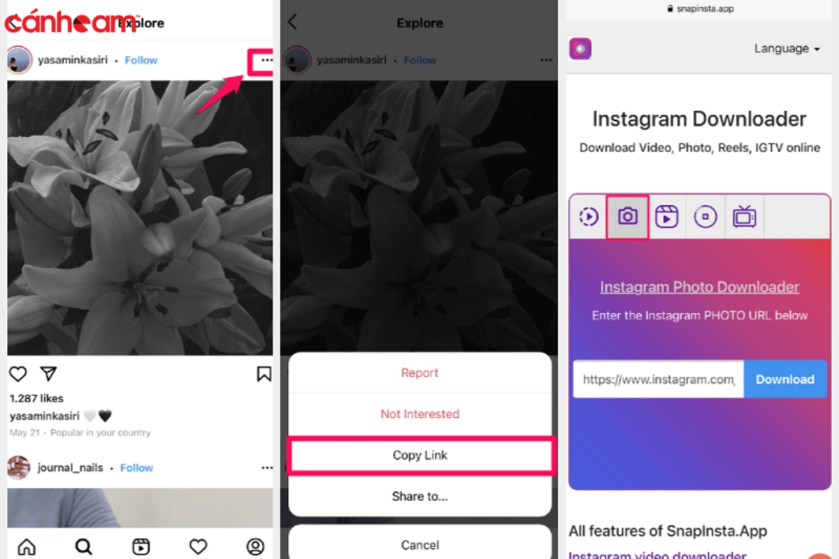 Tải video từ Instagram bằng Instagram Downloader