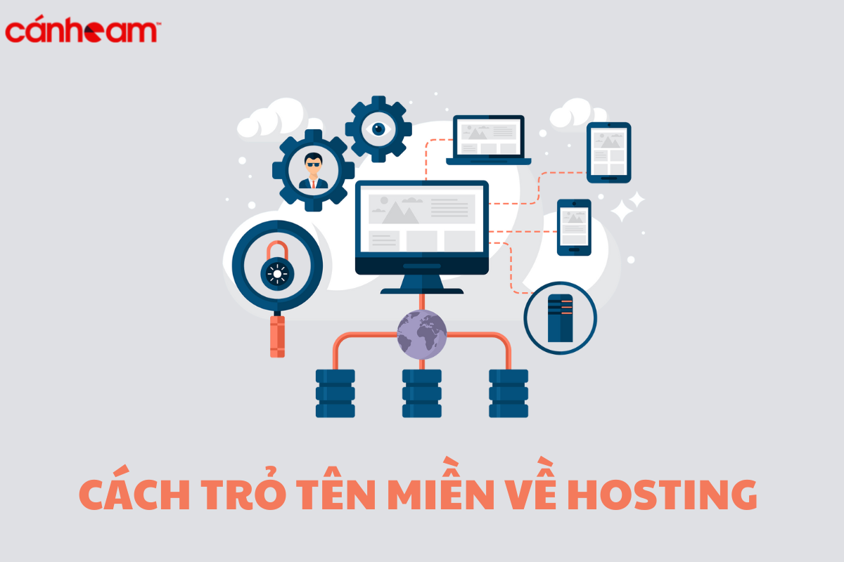 Trỏ domain về hosting là gì?