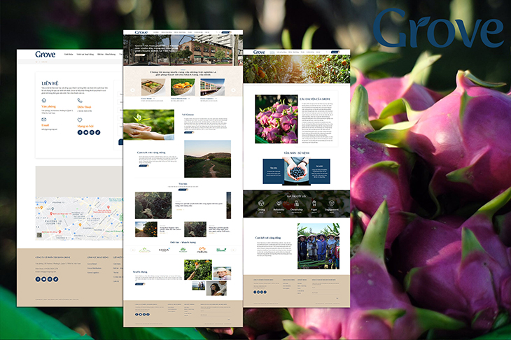 Grove Corp thiết kế website tại Cánh Cam ảnh 3