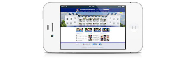 Trường quốc tế Việt Anh thiết kế website tại Cánh Cam ảnh 8