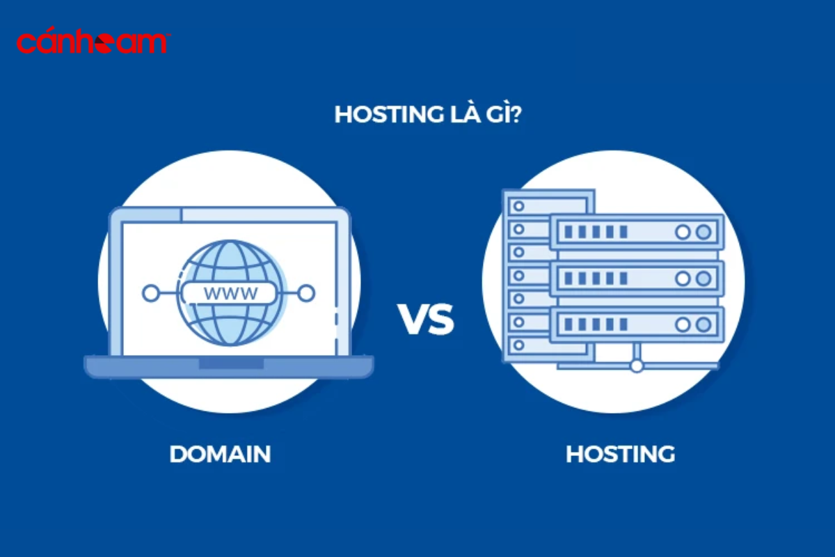 Phân biệt domain và hosting