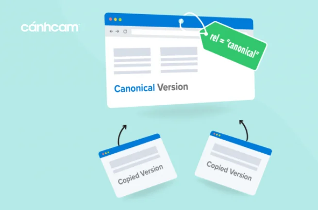 Ứng dụng của canonical trong công việc và đời sống