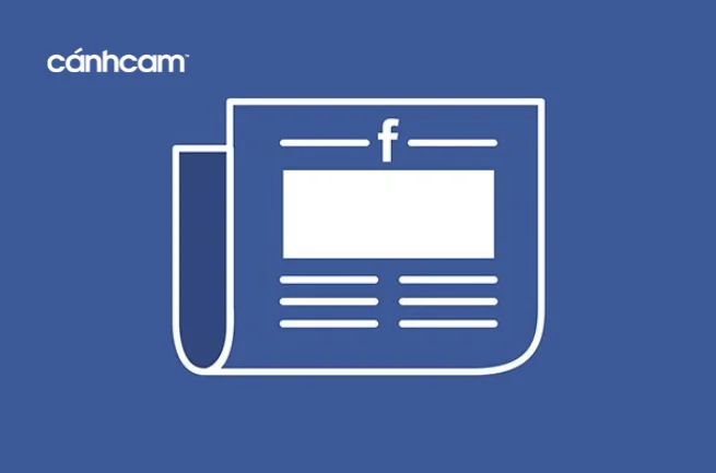 news feed, news feed là gì
