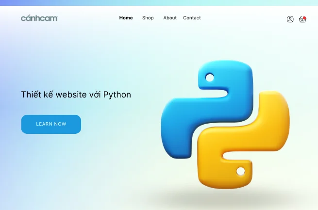 Thiết kế website với python