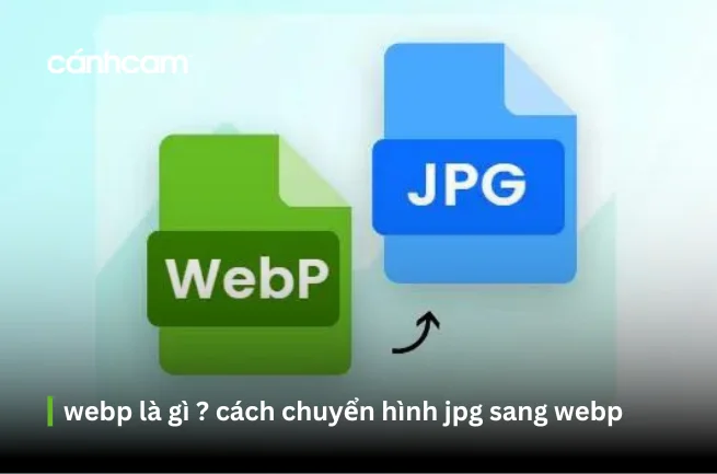 WebP là một  trong số định dạng ảnh phổ biến hiện nay