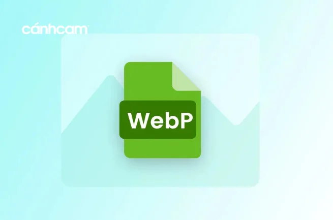 webp là gì ? cách chuyển đổi hình ảnh JPG, JPEG, PNG sang WebP