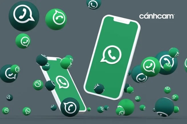 Những tính năng nổi bật của Whatsapp