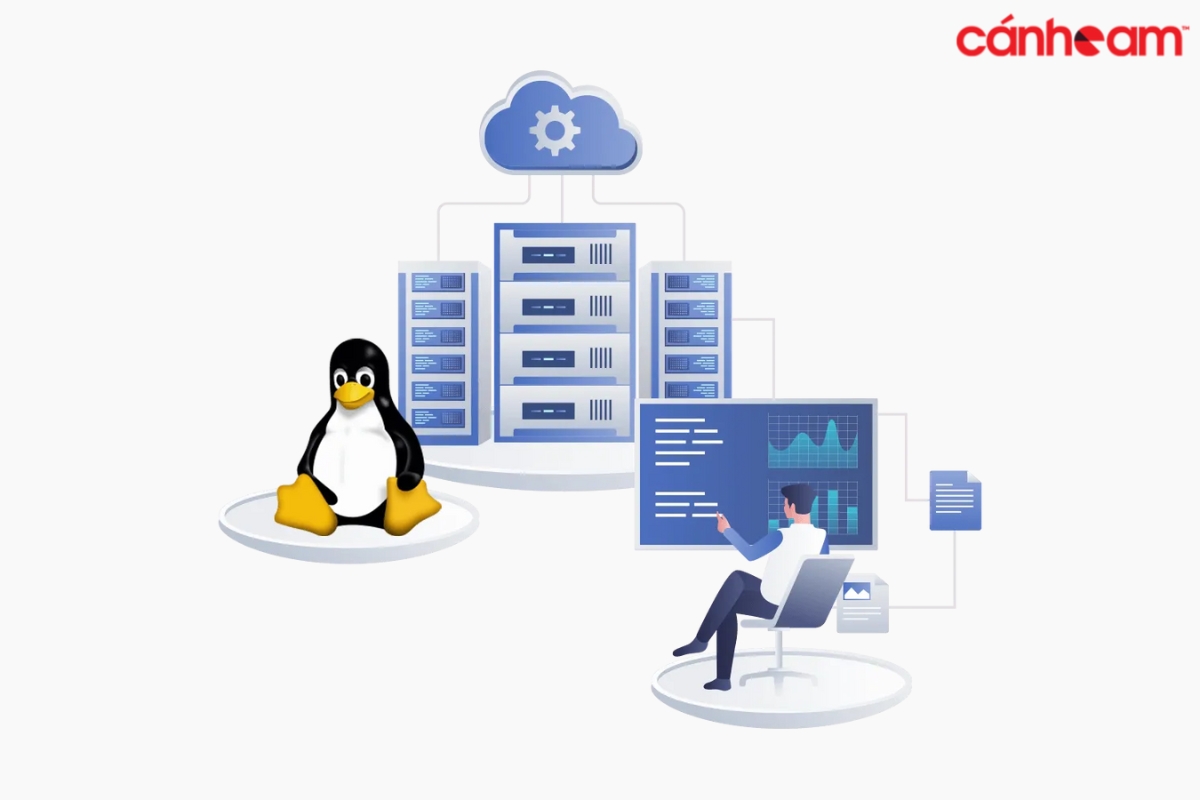 Hosting Linux có giá cả phải chăng