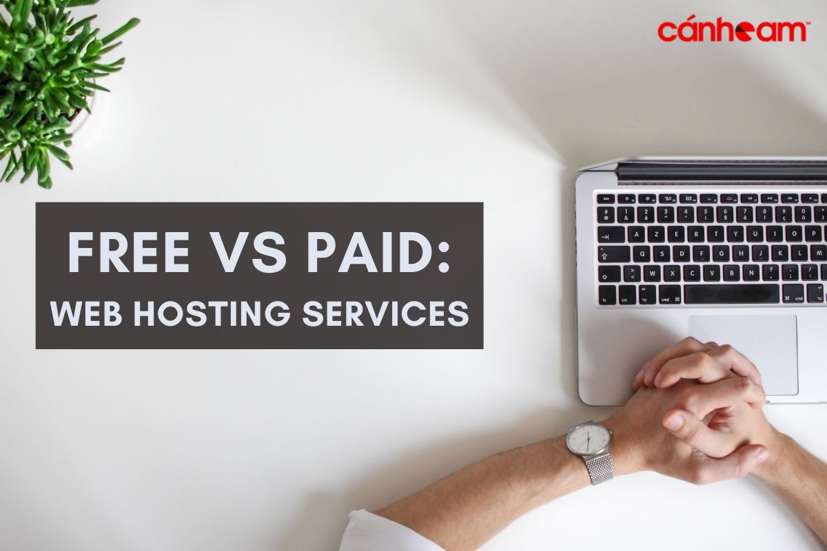 Nên sử dụng các dịch vụ hosting miễn phí và trả phí cho các trường hợp nào