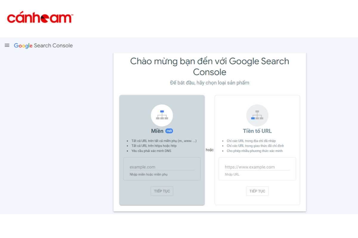 Thông qua DNS xác minh URL