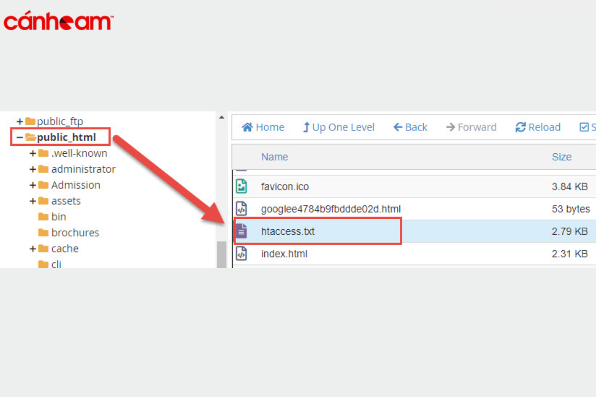 Truy cập htaccess.txt tại mục public_html