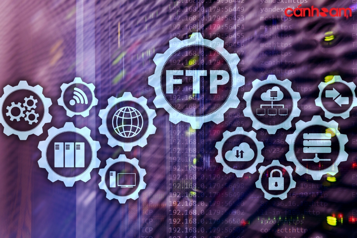 Máy chủ FTP 