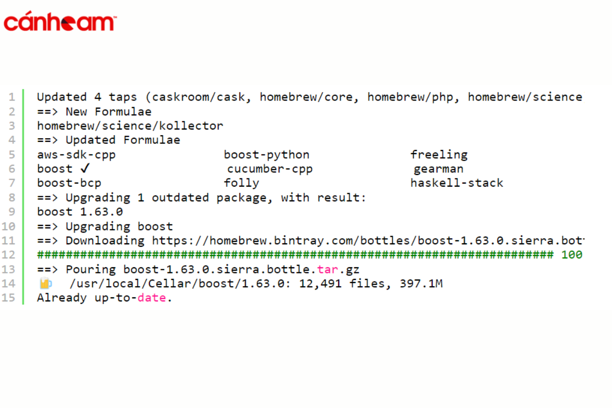 Áp dụng những lệnh sau là nâng cấp Homebrew thành công