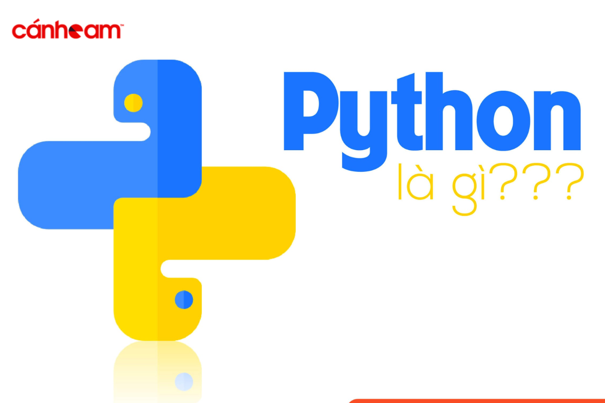 Ngôn ngữ lập trình Python là gì?