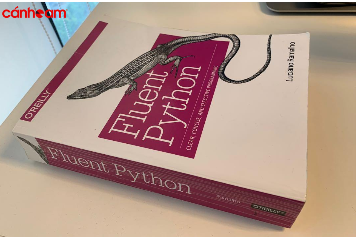 Sách Fluent Python về ngôn ngữ Python nâng cao