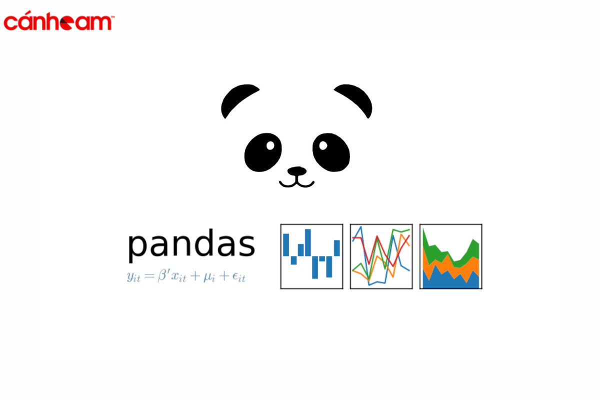 Thư viện ngôn ngữ Python Pandas cung cấp dữ liệu có cấu trúc và chuỗi thời gian