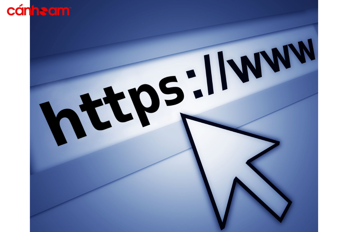 Thiết lập nâng cao cho trang web