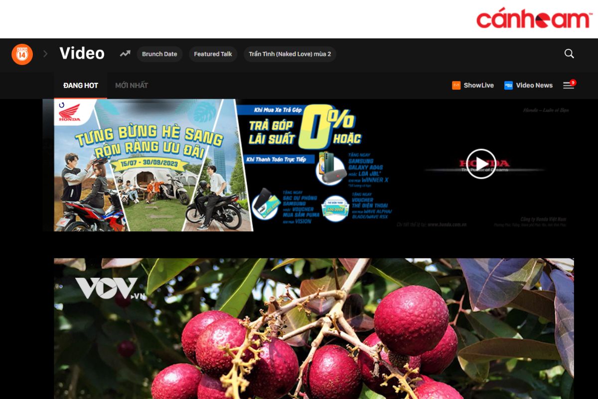 Nếu bạn tiếp tục nhấn vào mục "Video", điều hướng phân cấp sẽ xuất hiện