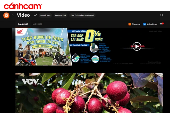 Nếu bạn tiếp tục nhấn vào mục "Video", điều hướng phân cấp sẽ xuất hiện