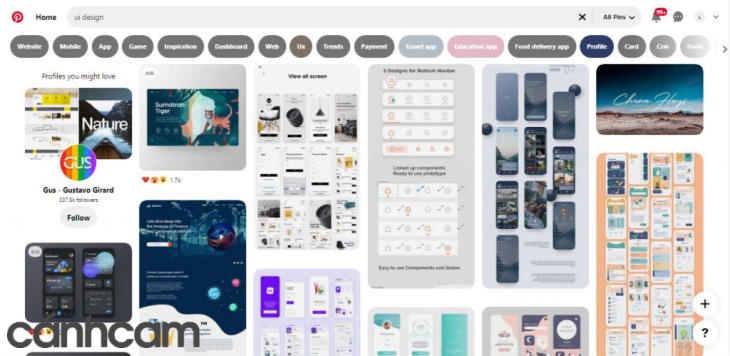Website layout dạng lưới kết hợp thẻ khá phổ biến