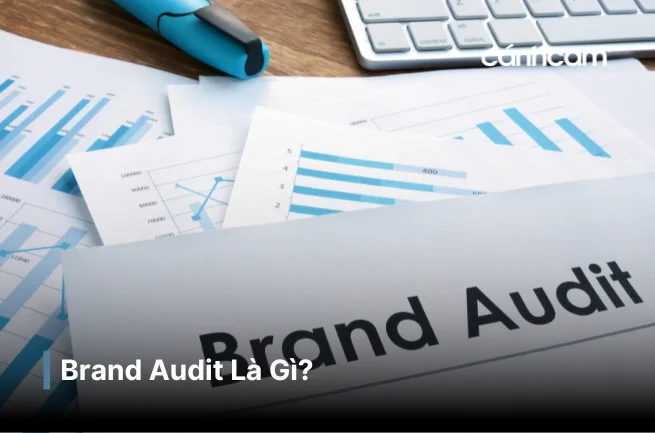 Brand Audit là gì? Quy trình kiểm tra Brand Audit là gì? Brand Audit là gì? Quy trình kiểm tra Brand Audit là gì?