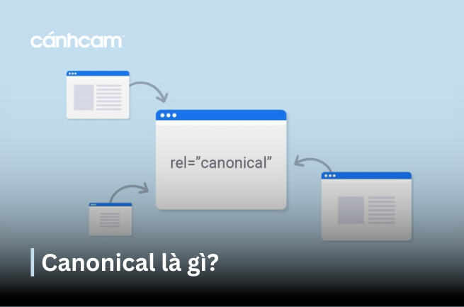 Canonical là gì ? Ứng dụng của canonical Canonical là gì ? Ứng dụng của canonical