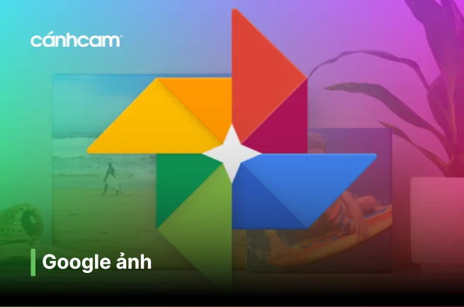 Google Photos là gì? Ứng dụng lưu trữ ảnh của Google có gì đặc biệt? Google Photos là gì? Ứng dụng lưu trữ ảnh của Google có gì đặc biệt?